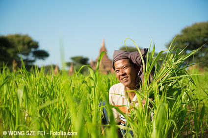 Asien: 5 Millionen Reisfelder, Menschen, gegensätzliches Klima
