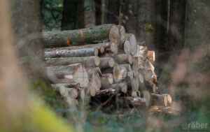 Holzwirtschaft fördern. Schutz der Natur dank Nutzung von heimischen Holz.