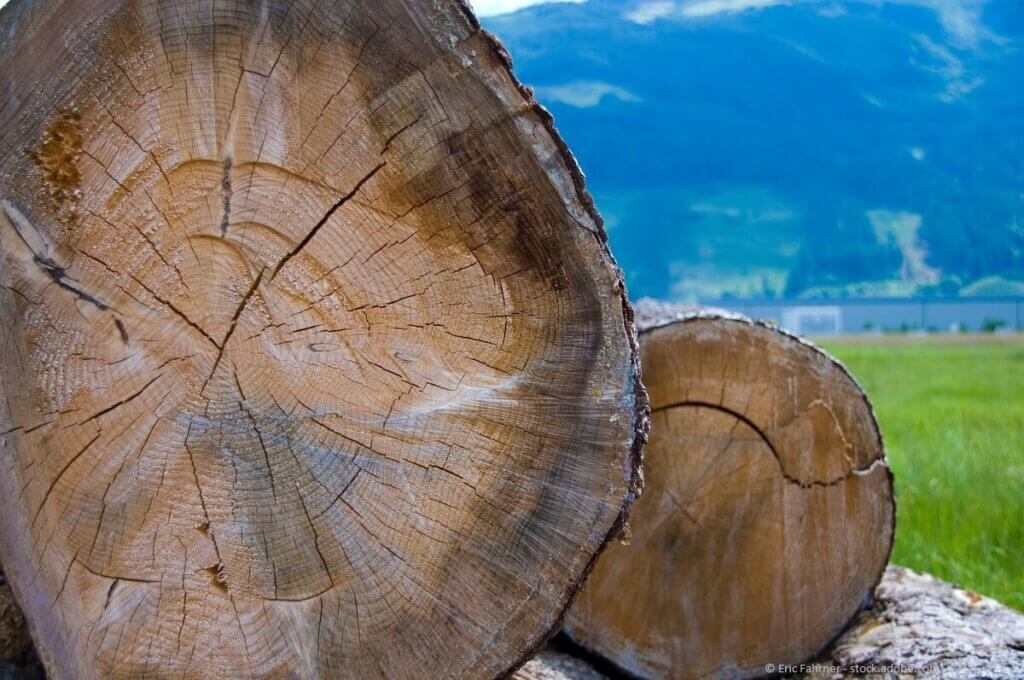 Holz entlastet die Umwelt.