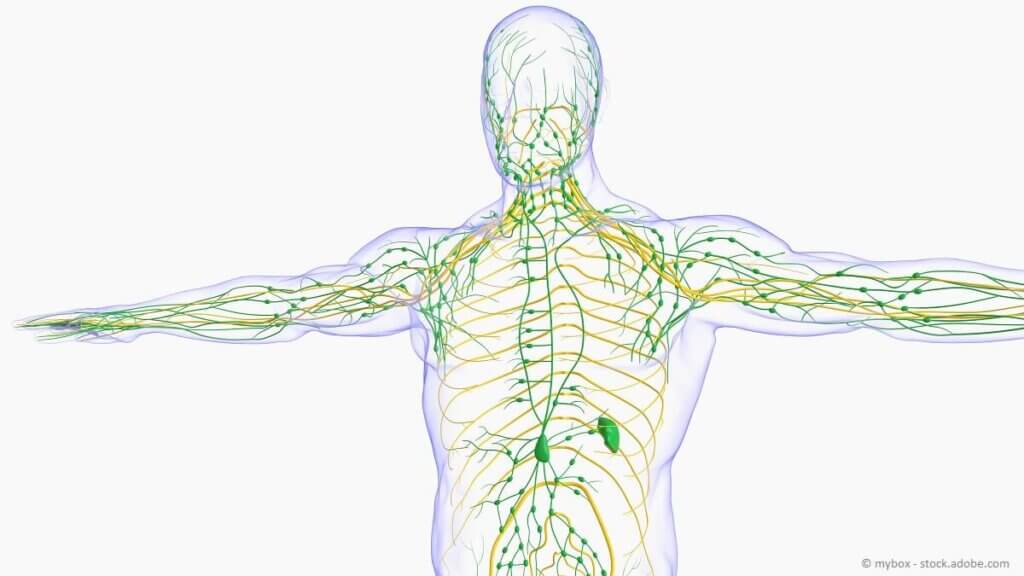 Wie funktioniert unser Lymphsystem?